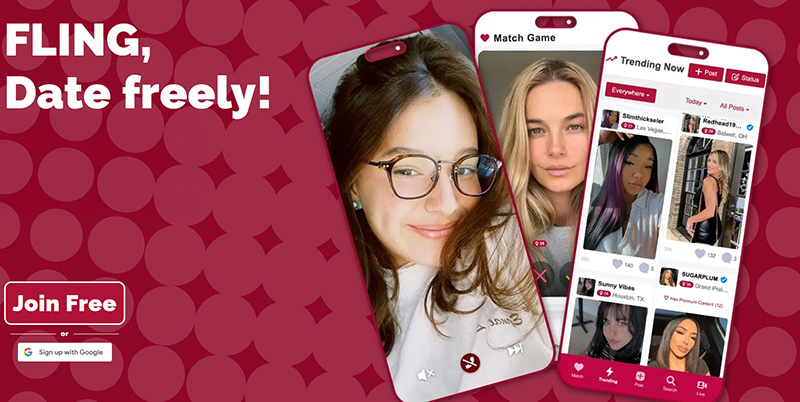 Fling Hookup Site Screenshot